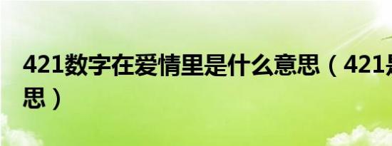 421数字在爱情里是什么意思（421是什么意思）