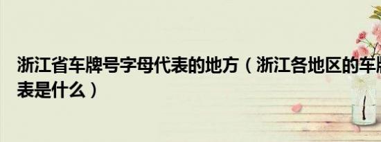 浙江省车牌号字母代表的地方（浙江各地区的车牌号字母代表是什么）
