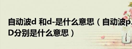 自动波d 和d-是什么意思（自动波p、N、R、D分别是什么意思）