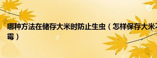 哪种方法在储存大米时防止生虫（怎样保存大米不生虫不发霉）