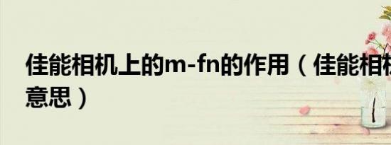 佳能相机上的m-fn的作用（佳能相机m是啥意思）