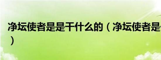 净坛使者是是干什么的（净坛使者是干什么的）