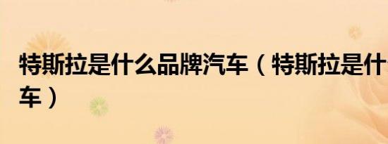 特斯拉是什么品牌汽车（特斯拉是什么品牌的车）