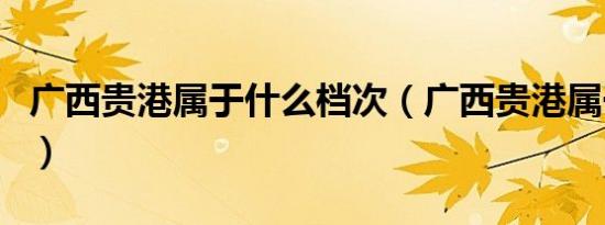 广西贵港属于什么档次（广西贵港属于哪个市）