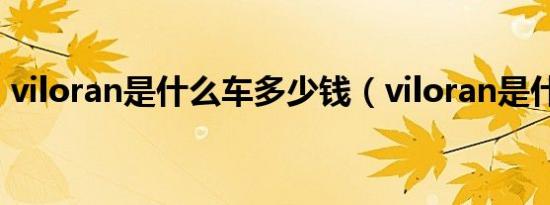 viloran是什么车多少钱（viloran是什么车）
