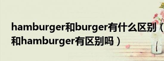 hamburger和burger有什么区别（burger和hamburger有区别吗）