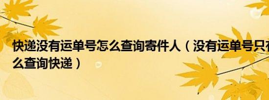 快递没有运单号怎么查询寄件人（没有运单号只有手机号怎么查询快递）