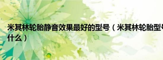 米其林轮胎静音效果最好的型号（米其林轮胎型号及功能是什么）