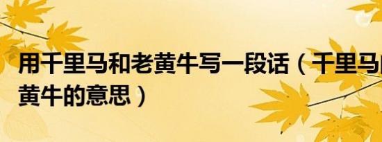 用千里马和老黄牛写一段话（千里马的意思老黄牛的意思）