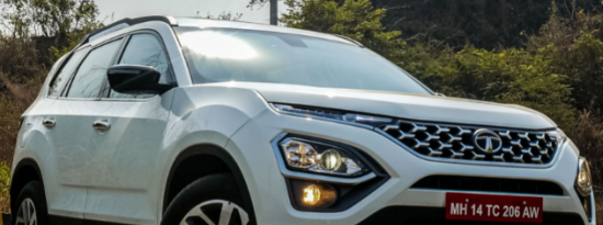 3月2日随着开发的继续发现塔塔野生动物园汽油