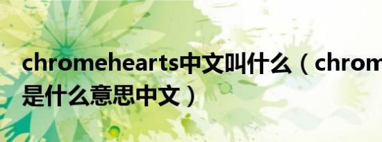 chromehearts中文叫什么（chrome heart是什么意思中文）
