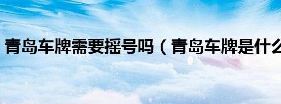 青岛车牌需要摇号吗（青岛车牌是什么开头）
