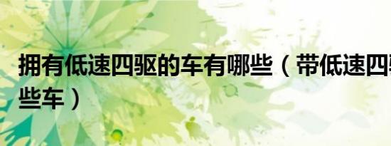 拥有低速四驱的车有哪些（带低速四驱的有哪些车）