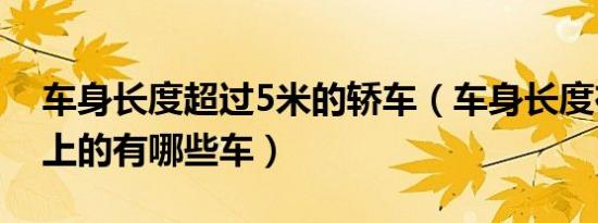 车身长度超过5米的轿车（车身长度在5米以上的有哪些车）