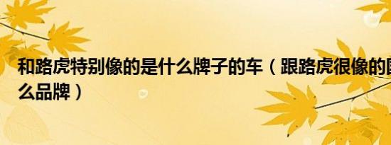 和路虎特别像的是什么牌子的车（跟路虎很像的国产车是什么品牌）