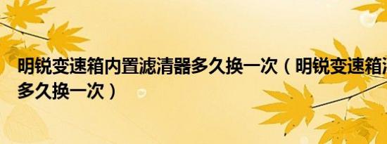 明锐变速箱内置滤清器多久换一次（明锐变速箱油和滤清器多久换一次）