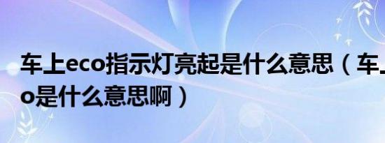 车上eco指示灯亮起是什么意思（车上出现eco是什么意思啊）