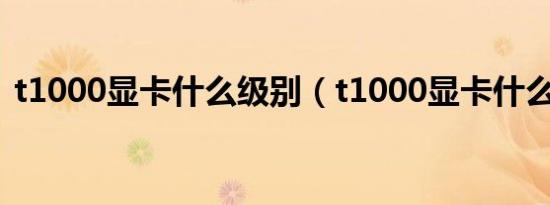 t1000显卡什么级别（t1000显卡什么级别）