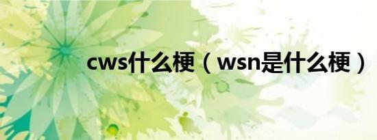 cws什么梗（wsn是什么梗）