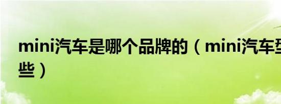 mini汽车是哪个品牌的（mini汽车型号有哪些）