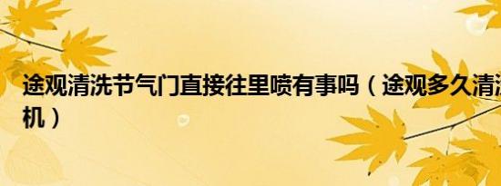 途观清洗节气门直接往里喷有事吗（途观多久清洗一次发动机）