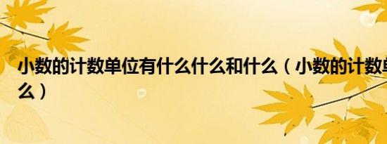 小数的计数单位有什么什么和什么（小数的计数单位都有什么）
