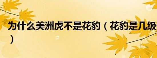 为什么美洲虎不是花豹（花豹是几级保护动物）