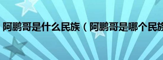 阿鹏哥是什么民族（阿鹏哥是哪个民族称呼）