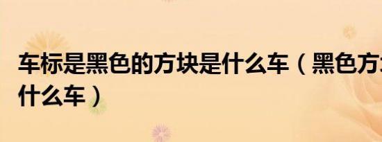 车标是黑色的方块是什么车（黑色方块车标是什么车）