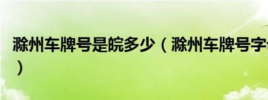 滁州车牌号是皖多少（滁州车牌号字母是什么）