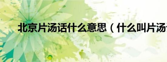 北京片汤话什么意思（什么叫片汤话）