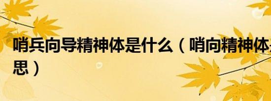 哨兵向导精神体是什么（哨向精神体是什么意思）