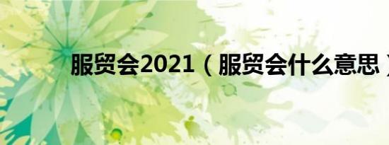 服贸会2021（服贸会什么意思）