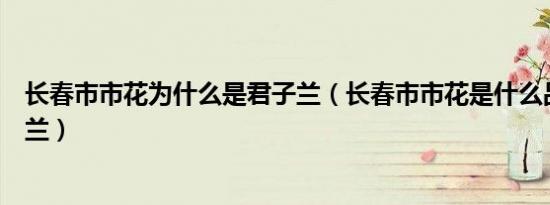 长春市市花为什么是君子兰（长春市市花是什么品种的君子兰）