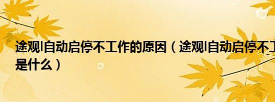 途观l自动启停不工作的原因（途观l自动启停不工作的原因是什么）