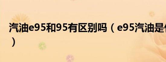 汽油e95和95有区别吗（e95汽油是什么意思）