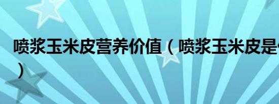 喷浆玉米皮营养价值（喷浆玉米皮是什么东西）