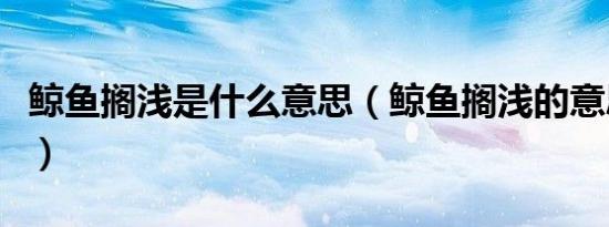鲸鱼搁浅是什么意思（鲸鱼搁浅的意思是什么）