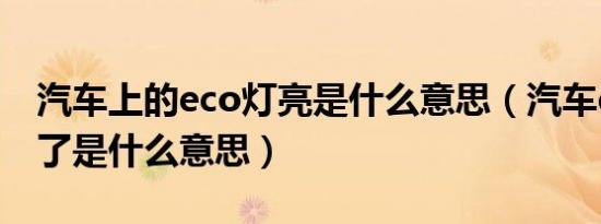 汽车上的eco灯亮是什么意思（汽车eco灯亮了是什么意思）