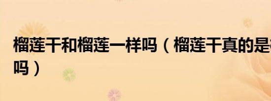 榴莲干和榴莲一样吗（榴莲干真的是榴莲做的吗）
