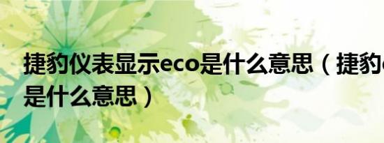 捷豹仪表显示eco是什么意思（捷豹eco模式是什么意思）