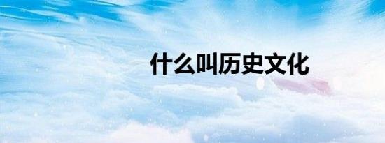 什么叫历史文化