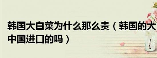 韩国大白菜为什么那么贵（韩国的大白菜是从中国进口的吗）