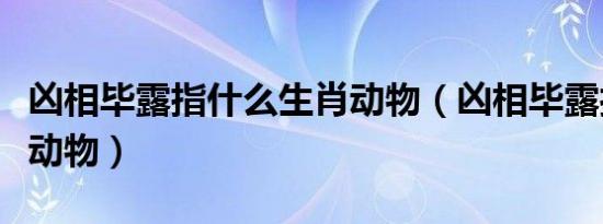 凶相毕露指什么生肖动物（凶相毕露打是什么动物）