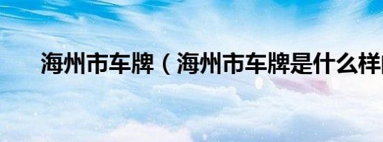 海州市车牌（海州市车牌是什么样的）
