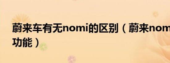 蔚来车有无nomi的区别（蔚来nomi有哪些功能）