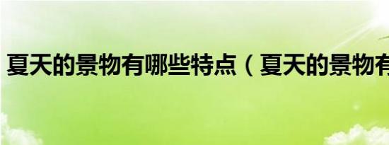 夏天的景物有哪些特点（夏天的景物有哪些）