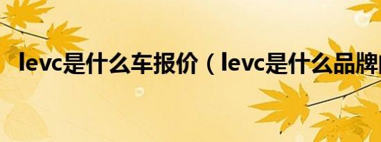 levc是什么车报价（levc是什么品牌的车）