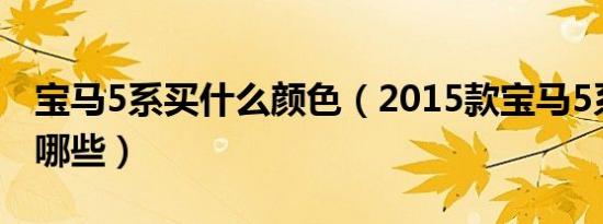 宝马5系买什么颜色（2015款宝马5系颜色有哪些）