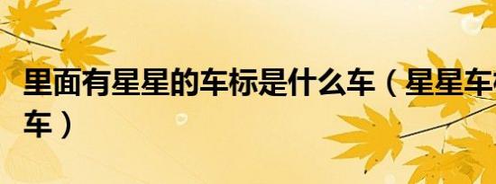 里面有星星的车标是什么车（星星车标是什么车）